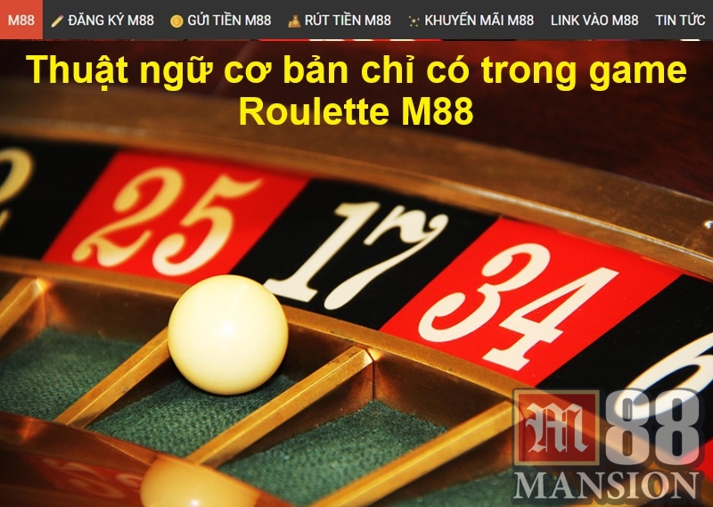 Thuật ngữ cơ bản chỉ có trong game Roulette M88