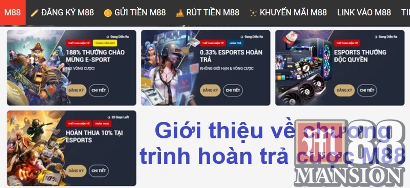 Giới thiệu về chương trình hoàn trả cược M88